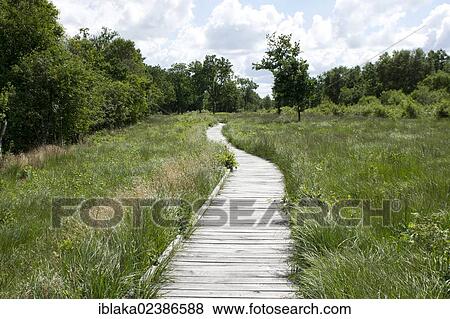 "Boardwalk, nature reserve, moorland, """"Ewiges Meer"""", East Frisia, Lower Saxony, Germany, Europe" View Large Photo Image Stock Photo - "Boardwalk, nature reserve, moorland, """"Ewiges Meer"""", East Frisia, Lower Saxony, Germany, Europe". Fotosearch