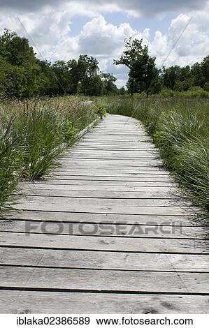 "Boardwalk, nature reserve, moorland, """"Ewiges Meer"""", East Frisia, Lower Saxony, Germany, Europe" View Large Photo Image Stock Photo - "Boardwalk, nature reserve, moorland, """"Ewiges Meer"""", East Frisia, Lower Saxony, Germany, Europe". Fotosearch