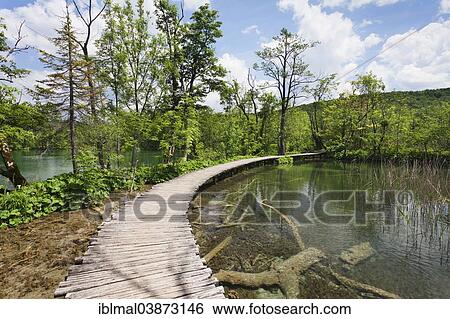 "Boardwalk through a lake, Plitvice Lakes National Park, UNESCO World Heritage Site, Croatia, Europe" View Large Photo Image Stock Photograph - "Boardwalk through a lake, Plitvice Lakes National Park, UNESCO World Heritage Site, Croatia, Europe". Fotosearch