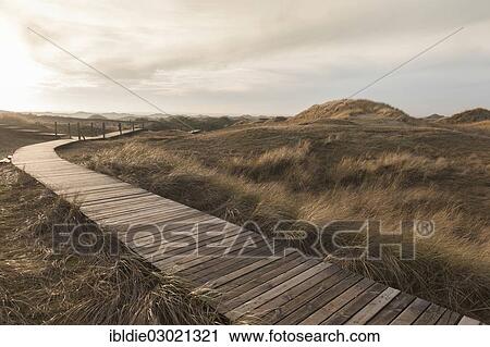 "Boardwalk through Amrum Dunes Nature Reserve, North Frisia, Nebel, Amrum, Schleswig-Holstein, Germany, Europe" View Large Photo Image Stock Image - "Boardwalk through Amrum Dunes Nature Reserve, North Frisia, Nebel, Amrum, Schleswig-Holstein, Germany, Europe". Fotosearch