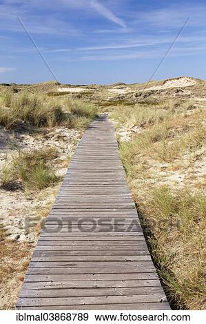 "Boardwalk through the dunes, Amrum, North Frisia, Schleswig-Holstein, Germany, Europe" View Large Photo Image Stock Photo - "Boardwalk through the dunes, Amrum, North Frisia, Schleswig-Holstein, Germany, Europe". Fotosearch
