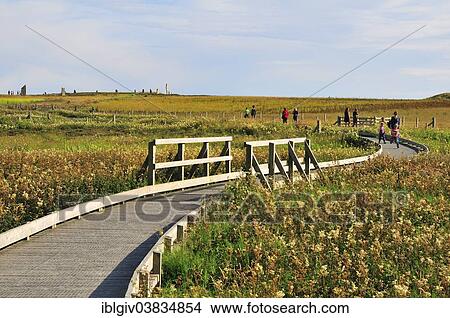 "Boardwalk to the Ring of Brodgar, neolithic henge and stone circle, Mainland, Orkney, Scotland, United Kingdom, Europe" View Large Photo Image Picture - "Boardwalk to the Ring of Brodgar, neolithic henge and stone circle, Mainland, Orkney, Scotland, United Kingdom, Europe". Fotosearch