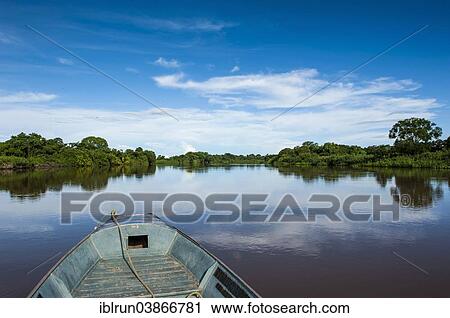"Boat on a river, surrounded by trees, Pantanal, UNESCO World Heritage Site, Mato Grosso do Sul, Brazil, South America" View Large Photo Image Stock Image - "Boat on a river, surrounded by trees, Pantanal, UNESCO World Heritage Site, Mato Grosso do Sul, Brazil, South America". Fotosearch
