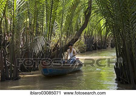 "Boatman on a tributary of the Mekong Delta, Mekong, bei My Tho, Sudostasien, Vietnam, Asia" View Large Photo Image Stock Image - "Boatman on a tributary of the Mekong Delta, Mekong, bei My Tho, Sudostasien, Vietnam, Asia". Fotosearch