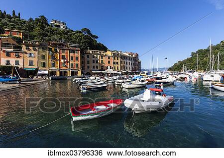 "Boats in the harbor, Portofino, Region Paraggi, Italian Riviera, Gulf of Genoa, Liguria, Italy, Europe" View Large Photo Image Stock Photograph - "Boats in the harbor, Portofino, Region Paraggi, Italian Riviera, Gulf of Genoa, Liguria, Italy, Europe". Fotosearch