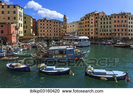 "Boats in the old harbor, Camogli, Italian Riviera, Liguria, Italy, Europe" View Large Photo Image Stock Image - "Boats in the old harbor, Camogli, Italian Riviera, Liguria, Italy, Europe". Fotosearch