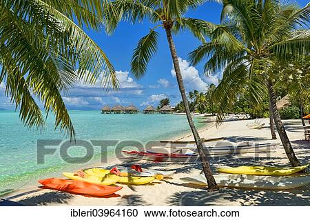 "Boats on the beach under palm trees, South Pacific, Bora Bora, French Polynesia, Oceania" View Large Photo Image Stock Image - "Boats on the beach under palm trees, South Pacific, Bora Bora, French Polynesia, Oceania". Fotosearch