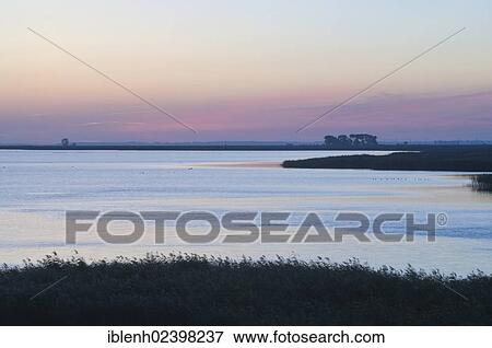Stock Photo - "Bodden at dawn, Darss, Mecklenburg-Western Pomerania, Germany, Europe". Fotosearch