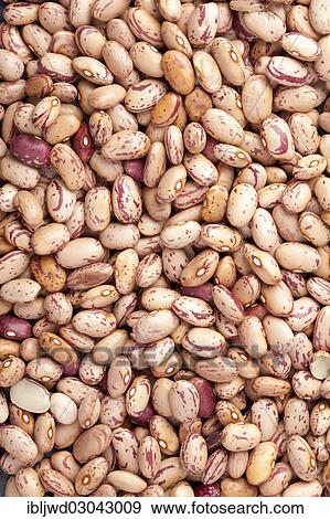 Borlotti beans View Large Photo Image Stock Photo - Borlotti beans. Fotosearch