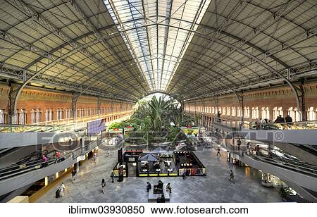 "Botanical garden, Madrid train station or Estacion de Puerta de Atocha, Spain, Europe" View Large Photo Image Stock Image - "Botanical garden, Madrid train station or Estacion de Puerta de Atocha, Spain, Europe". Fotosearch