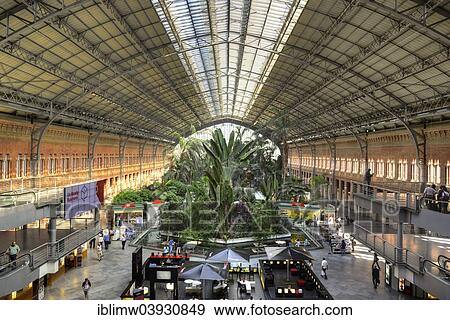 "Botanical garden, Madrid train station or Estacion de Puerta de Atocha, Spain, Europe" View Large Photo Image Stock Photo - "Botanical garden, Madrid train station or Estacion de Puerta de Atocha, Spain, Europe". Fotosearch