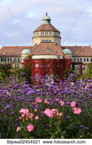 "Botanical Garden, Munich, Bavaria, Germany, Europe" View Large Photo Image Stock Image - "Botanical Garden, Munich, Bavaria, Germany, Europe". Fotosearch