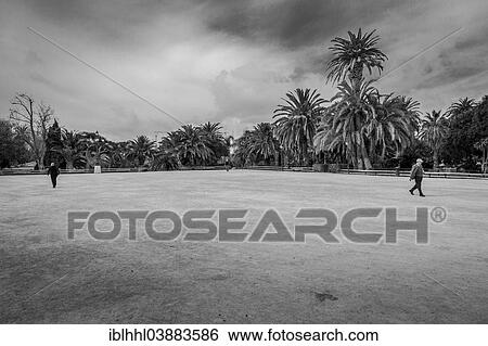 "Botanical Garden, Valencia, Province of Valencia, Spain, Europe" View Large Photo Image Stock Photograph - "Botanical Garden, Valencia, Province of Valencia, Spain, Europe". Fotosearch