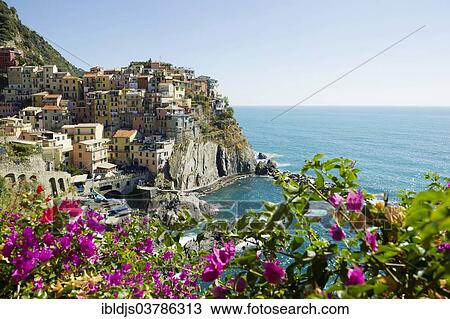 Stock Image - "Bougainvillea and village with colorful houses near the sea, Manarola, Cinque Terre, UNESCO World Heritage Site, Province of La Spezia, Liguria, Italy, Europe". Fotosearch