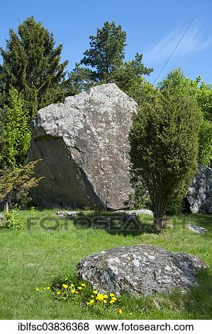 "Boulder, Jaami Tooma Suurkivi, Kasispea, Parispea Peninsula, Lahemaa National Park, Estonia, Baltic States, Europe" View Large Photo Image Stock Photo - "Boulder, Jaami Tooma Suurkivi, Kasispea, Parispea Peninsula, Lahemaa National Park, Estonia, Baltic States, Europe". Fotosearch