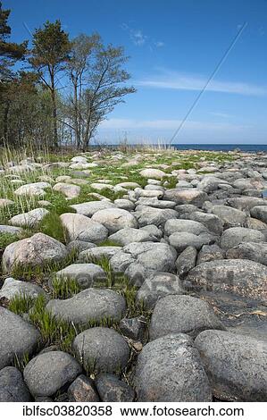 "Boulders on the coast, Parispea Peninsula, Lahemaa National Park, Estonia, Baltic States, Europe" View Large Photo Image Stock Photo - "Boulders on the coast, Parispea Peninsula, Lahemaa National Park, Estonia, Baltic States, Europe". Fotosearch