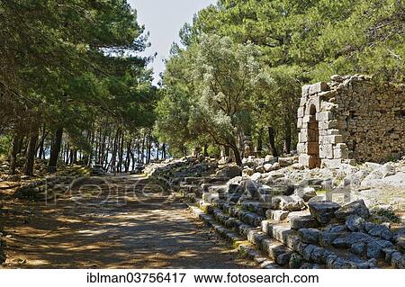 "Boulevard, ancient city of Phaselis, Phaselis, Tekirova, Lycia, Province of Antalya, Turkey, Asia" View Large Photo Image Stock Photo - "Boulevard, ancient city of Phaselis, Phaselis, Tekirova, Lycia, Province of Antalya, Turkey, Asia". Fotosearch