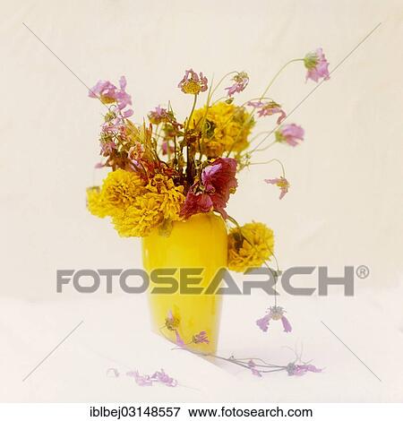 "Bouquet of flowers, France, Europe" View Large Photo Image Stock Photo - "Bouquet of flowers, France, Europe". Fotosearch