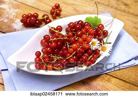 Bowl with red currants and daisies View Large Photo Image Stock Image - Bowl with red currants and daisies. Fotosearch