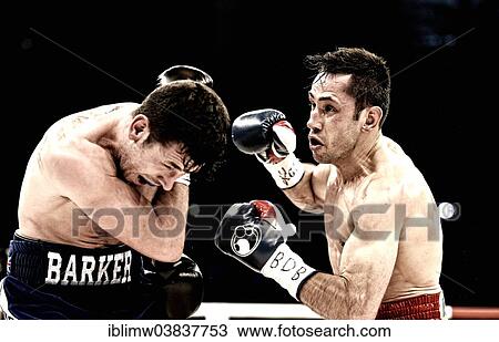"Boxing, Felix Sturm, GER, right, vs. Darren Barker, GBR, left, Porsche Arena, Stuttgart, Baden-Wurttemberg, Germany, Europe" View Large Photo Image Stock Image - "Boxing, Felix Sturm, GER, right, vs. Darren Barker, GBR, left, Porsche Arena, Stuttgart, Baden-Wurttemberg, Germany, Europe". Fotosearch