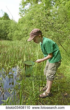 Stock Image - "Boy, 7 years, standing with a dip net by a pond, Pentenrieder Weiher pond, Kreuzlinger Forst forest, Munich, Upper Bavaria, Bavaria, Germany, Europe". Fotosearch
