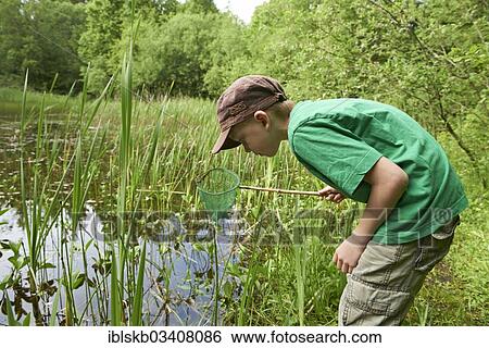 "Boy, 7 years, standing with a dip net by a pond, Pentenrieder Weiher pond, Kreuzlinger Forst forest, Munich, Upper Bavaria, Bavaria, Germany, Europe" View Large Photo Image Stock Photograph - "Boy, 7 years, standing with a dip net by a pond, Pentenrieder Weiher pond, Kreuzlinger Forst forest, Munich, Upper Bavaria, Bavaria, Germany, Europe". Fotosearch