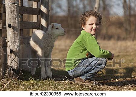 Stock Photography - "Boy and a lamp, East Frisian sheep". Fotosearch