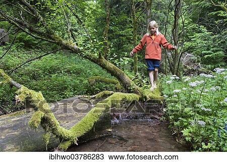 "Boy balancing barefoot on a mossy tree trunk at a stream, Rotterode, Moosbachtal valley, Thuringian Forest, Thuringia, Germany, Europe" View Large Photo Image Stock Image - "Boy balancing barefoot on a mossy tree trunk at a stream, Rotterode, Moosbachtal valley, Thuringian Forest, Thuringia, Germany, Europe". Fotosearch