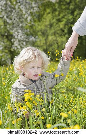 Stock Image - Boy holding his mother's hand on a flower meadow in spring. Fotosearch