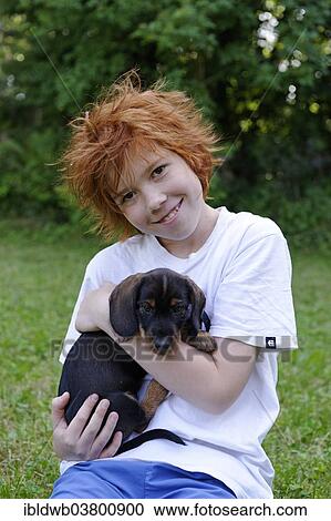 Stock Image - "Boy holding wire-haired dachshund puppy in his arms, Germany, Europe". Fotosearch