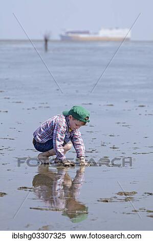 Stock Photography - "Boy playing in the mud in the mudflats of the Wadden Sea, Duhnen, Cuxhaven, Lower Saxony, Germany, Europe". Fotosearch