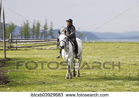 "Boy riding a Mongolian horse, Khuvsgul Lake, Khovsgol Aimag, Mongolia, Asia" View Large Photo Image Stock Image - "Boy riding a Mongolian horse, Khuvsgul Lake, Khovsgol Aimag, Mongolia, Asia". Fotosearch