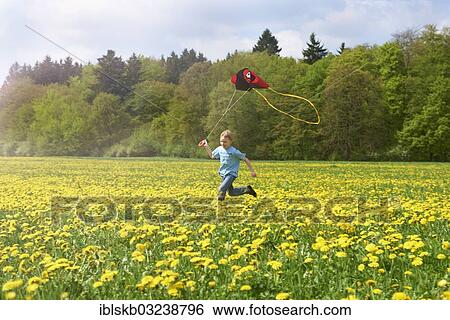 "Boy running with kite on dandelion meadow, Starnberg, Upper Bavaria, Bavaria, Germany, Europe" View Large Photo Image Stock Photograph - "Boy running with kite on dandelion meadow, Starnberg, Upper Bavaria, Bavaria, Germany, Europe". Fotosearch