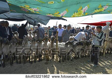 Stock Image - "Boy stretching a sunshade at a Uighur animal market, Kaschgar, Kaxgar, Xinjiang, China, People's Republic of China, Asia". Fotosearch