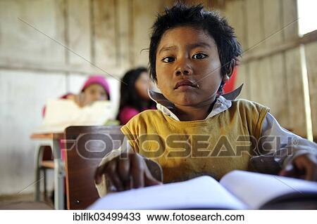 "Boy with a book in a classroom, in the community of Mbya-Guarani Indians, Campito, Caaguazu Department, Paraguay, South America" View Large Photo Image Stock Image - "Boy with a book in a classroom, in the community of Mbya-Guarani Indians, Campito, Caaguazu Department, Paraguay, South America". Fotosearch