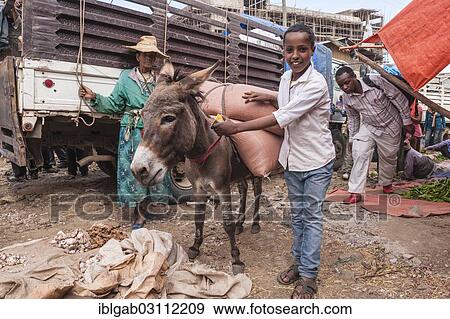 Stock Photo - "Boy with a pack donkey, market street scene, Mercato of Addis Ababa, Addis Ababa, Oromia Region, Ethiopia, Africa". Fotosearch