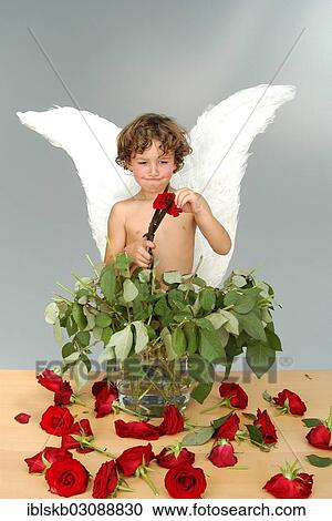 "Boy with angel wings, cutting the heads off a bouquet of roses with a large pair of scissors" View Large Photo Image Stock Image - "Boy with angel wings, cutting the heads off a bouquet of roses with a large pair of scissors". Fotosearch