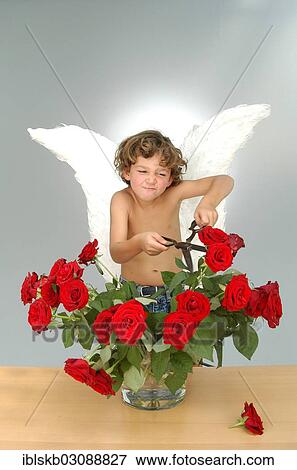 "Boy with angel wings, cutting the heads off a bouquet of roses with a large pair of scissors" View Large Photo Image Stock Photo - "Boy with angel wings, cutting the heads off a bouquet of roses with a large pair of scissors". Fotosearch