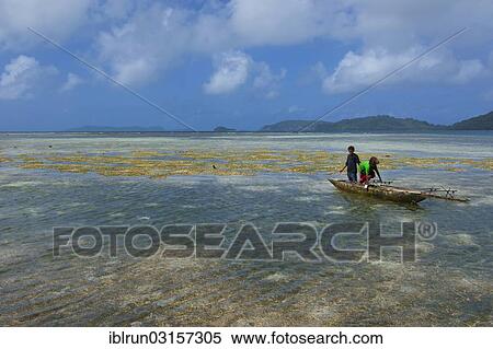 Stock Photography - "Boys fishing, Insel Samarai, Alotau, Papua New Guinea, Oceania". Fotosearch