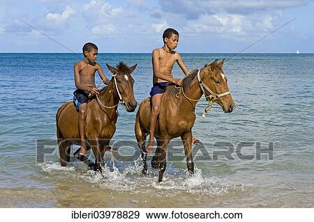 "Boys riding horses on the beach, Saint Lucia, North America" View Large Photo Image Stock Photo - "Boys riding horses on the beach, Saint Lucia, North America". Fotosearch