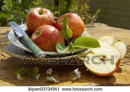 Braeburn apples View Large Photo Image Stock Image - Braeburn apples. Fotosearch