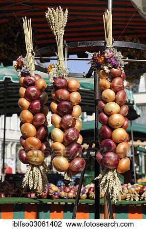 "Braids of onions and wheat, on Marktplatz square, Weimar, Thuringia, Germany, Europe" View Large Photo Image Stock Image - "Braids of onions and wheat, on Marktplatz square, Weimar, Thuringia, Germany, Europe". Fotosearch