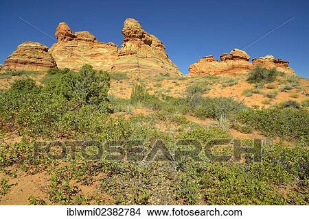 "Brain Rocks of the Coyote Buttes South CBS, Cottonwood Teepees, eroded Navajo sandstone rock formations with Liesegang bands or Liesegang rings, Pareah Paria Plateau, Vermilion Cliffs National Monument, Arizona, Utah, Southwestern USA" View Large Photo Image Picture - "Brain Rocks of the Coyote Buttes South CBS, Cottonwood Teepees, eroded Navajo sandstone rock formations with Liesegang bands or Liesegang rings, Pareah Paria Plateau, Vermilion Cliffs National Monument, Arizona, Utah, Southwestern USA". Fotosearch