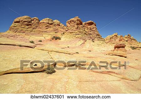 "Brain Rocks of the Coyote Buttes South CBS, Cottonwood Teepees, eroded Navajo sandstone rocks with Liesegang bands or Liesegang rings, Pareah Paria Plateau, Vermilion Cliffs National Monument, Arizona, Utah, Southwest, USA" View Large Photo Image Stock Image - "Brain Rocks of the Coyote Buttes South CBS, Cottonwood Teepees, eroded Navajo sandstone rocks with Liesegang bands or Liesegang rings, Pareah Paria Plateau, Vermilion Cliffs National Monument, Arizona, Utah, Southwest, USA". Fotosearch
