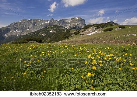"Brandenberg Alps, Tyrol, Austria, Europe" View Large Photo Image Stock Image - "Brandenberg Alps, Tyrol, Austria, Europe". Fotosearch