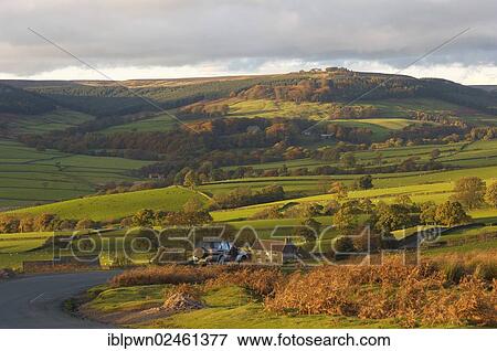 "Bransdale valley in evening light, North York Moors National Park, England, United Kingdom, Europe" View Large Photo Image Stock Photo - "Bransdale valley in evening light, North York Moors National Park, England, United Kingdom, Europe". Fotosearch