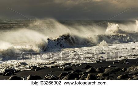 Stock Image - "Breakers at Reynisdrangar, Black Beach on Dyrholaey peninsula, bei Dyrholaey, Vik i Myrdal, Southern Region, Iceland, Europe". Fotosearch