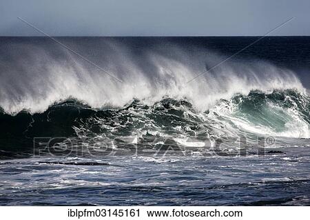 "Breaking ocean wave, Kalbarri, Western Australia, Australia, Oceania" View Large Photo Image Stock Image - "Breaking ocean wave, Kalbarri, Western Australia, Australia, Oceania". Fotosearch