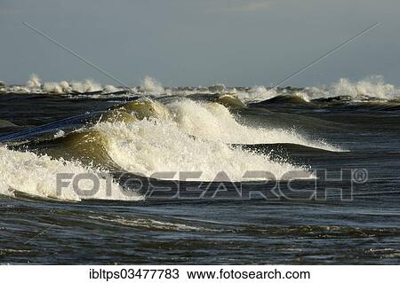 "Breaking waves on Lake Erie, Point Pelee Nationalpark, Lake Erie, Ontario Province, Canada, North America" View Large Photo Image Stock Image - "Breaking waves on Lake Erie, Point Pelee Nationalpark, Lake Erie, Ontario Province, Canada, North America". Fotosearch