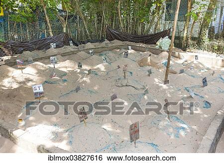 "Breeding station for sea turtles, near Kosgoda, Hegalla Piyagama Region, Southern Province, Sri Lanka, Asia" View Large Photo Image Stock Photograph - "Breeding station for sea turtles, near Kosgoda, Hegalla Piyagama Region, Southern Province, Sri Lanka, Asia". Fotosearch
